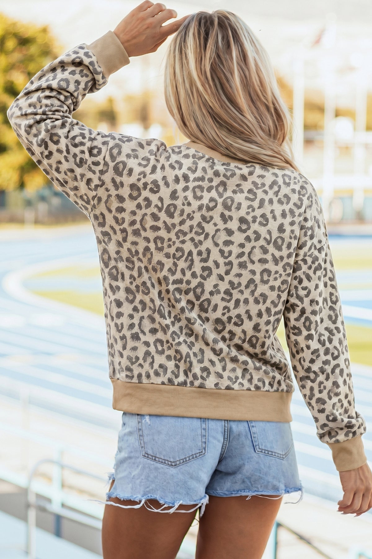 Leopard Print Ribbed Trim Mock Neck Long Sleeve Top